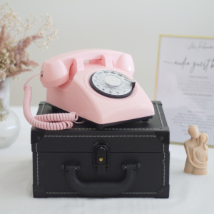 Audio GuestBook Rosa